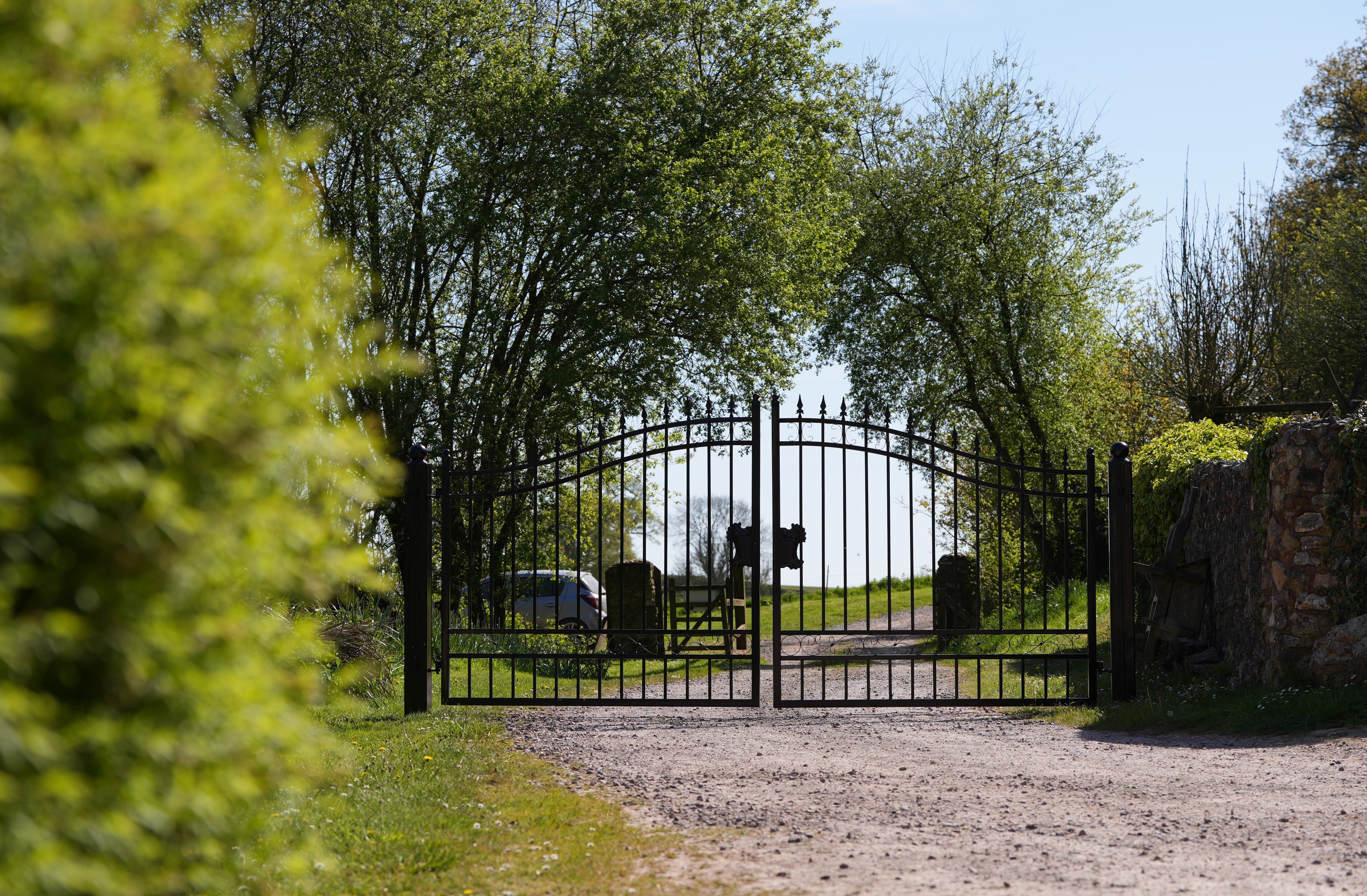 Metal gate at the end of a driveway with trees and a clear sky